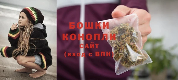 хмурый Няндома