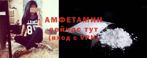 хмурый Няндома
