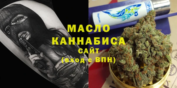 хмурый Няндома