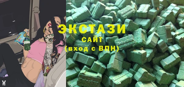 хмурый Няндома