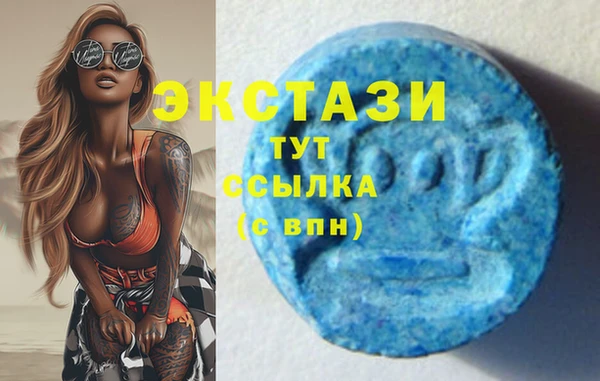 хмурый Няндома